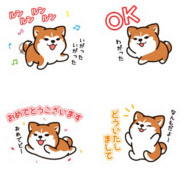秋田犬保存会 マサルのlineスタンプ 日本経済新聞 秋田犬保存会 マサルのlineスタンプ 日本経済新聞