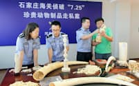 2017年8月、日本から違法輸入され中国当局が押収した象牙製品（中国・河北省石家荘税関撮影/WWFジャパン提供）=共同