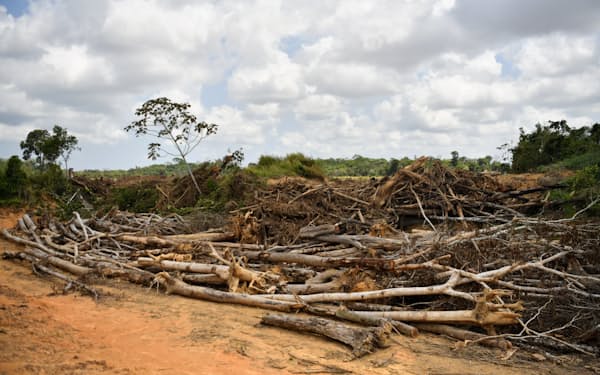 農地開発のため、伐採された木々が積まれていた（ブラジル北部パラ州）