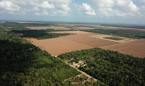 熱帯雨林が切り開かれ、農地となっている(ブラジル北部パラ州)