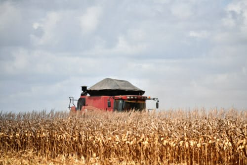 穀物生産や畜産業はブラジル北部にとって重要な収入源となっている(ブラジル北部パラ州)