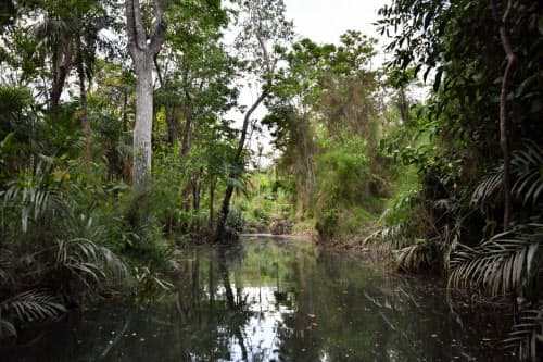 先進国は地球温暖化や生物多様性の観点からアマゾンを保存すべきと主張する(ブラジル北部パラ州)