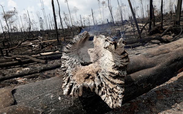 アマゾン熱帯雨林の火災に対するブラジル政府への批判が世界中で巻き起こっている=ロイター