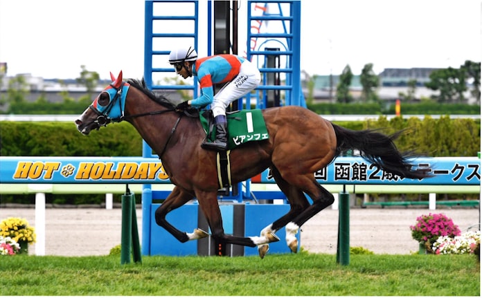 種牡馬 2トップ なき後の生産界の行方 日本経済新聞 種牡馬 2トップ なき後の生産界の行方 日本経済新聞