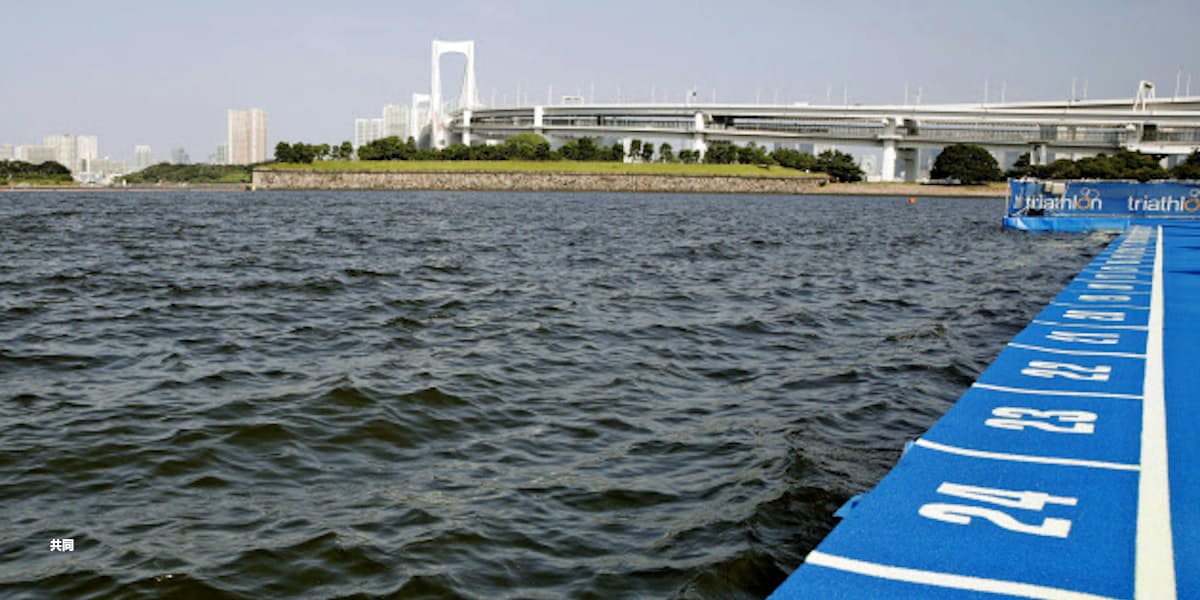五輪が照らす下水問題 お台場の海 降雨で水質悪化 日本経済新聞