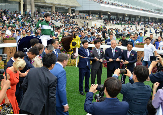 日韓対立 韓国競馬界に飛び火 日本馬不在で困惑も 日本経済新聞