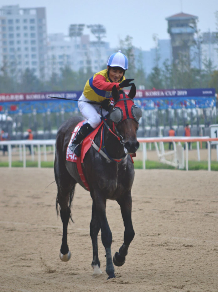 日韓対立 韓国競馬界に飛び火 日本馬不在で困惑も 日本経済新聞 日韓対立 韓国競馬界に飛び火 日本馬不在で困惑も 日本経済新聞