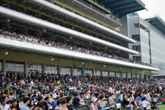 日韓対立 韓国競馬界に飛び火 日本馬不在で困惑も 日本経済新聞