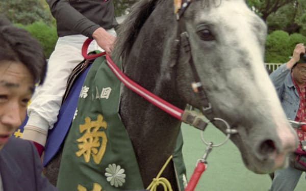 　1993年11月、第54回菊花賞を制したビワハヤヒデと岡部幸雄騎手（京都競馬場）=共同