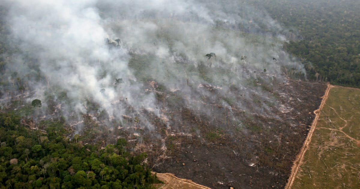 ブラジル大統領 アマゾン火災の対応遅れに反論 日本経済新聞