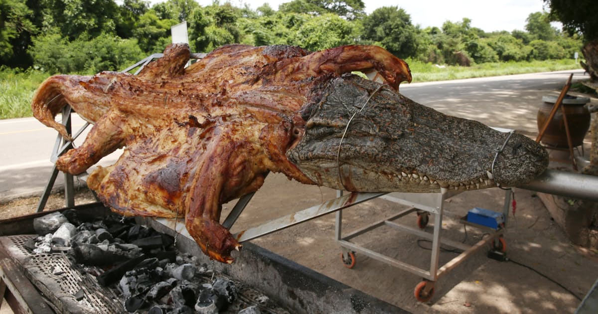 せかい旬景 倒産危機を救ったワニ肉bbq タイ 日本経済新聞 せかい旬景 倒産危機を救ったワニ肉bbq タイ 日本経済新聞