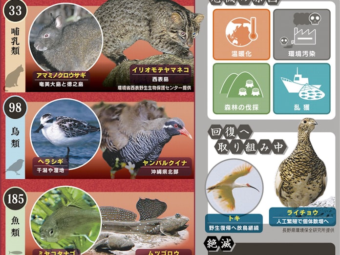 絶滅しそうな動物 なぜ増えてるの 親子スクール 日本経済新聞 絶滅しそうな動物 なぜ増えてるの 親子スクール 日本経済新聞