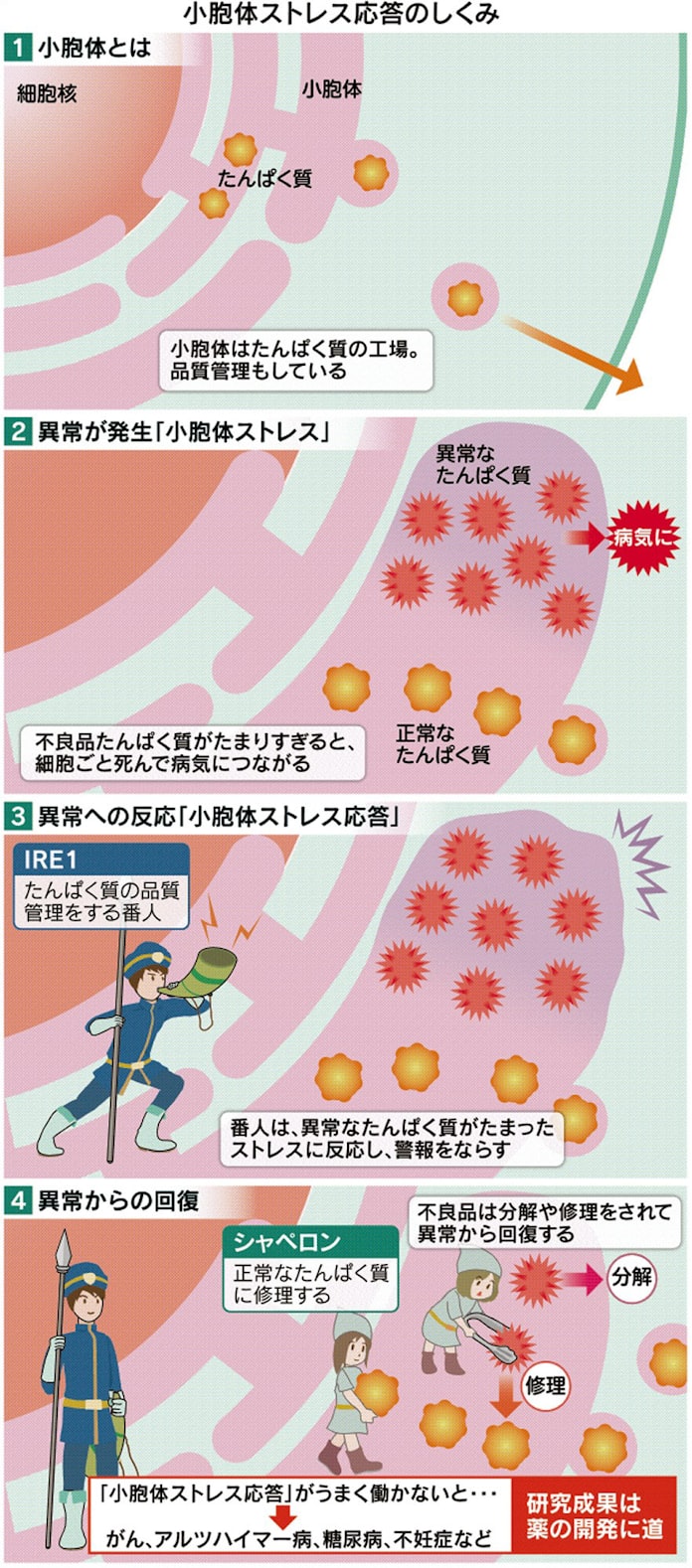 ノーベル生理学 医学賞 7日発表 京大 森氏らが候補 日本経済新聞 ノーベル生理学 医学賞 7日発表 京大 森氏らが候補 日本経済新聞