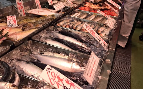サンマ、スルメイカ、サバなど今秋の大衆魚は総じて高め