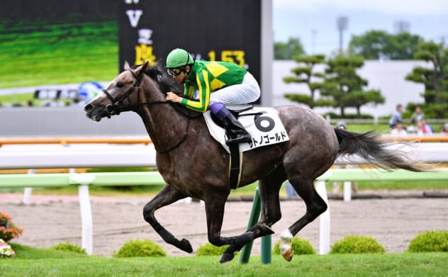 父と同じ函館で新馬戦を勝ったゴールドシップ産駒サトノゴールド=JRA提供 父と同じ函館で新馬戦を勝ったゴールドシップ産駒サトノゴールド=JRA提供