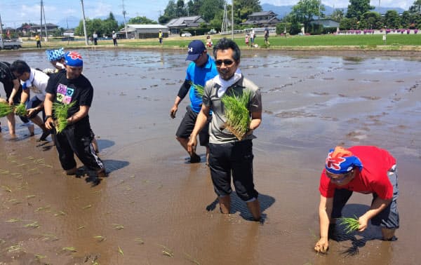 大田原ツーリズムが取り組むグリーンツーリズムは田植えなどの農業体験が売り物