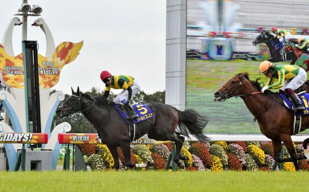 菊花賞で優勝した武豊騎乗のワールドプレミア(左)=共同 菊花賞で優勝した武豊騎乗のワールドプレミア(左)=共同