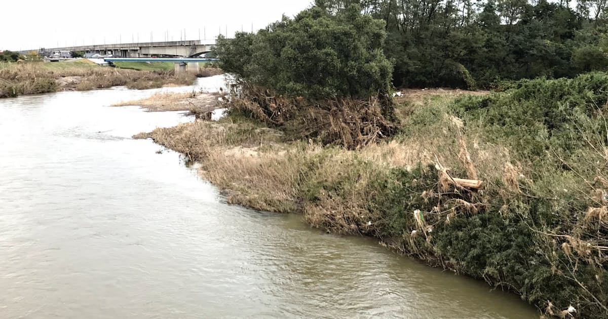 福島県郡山市の阿武隈川 最後の 未整備地域 が氾濫 日本経済新聞 福島県郡山市の阿武隈川 最後の 未整備地域 が氾濫 日本経済新聞