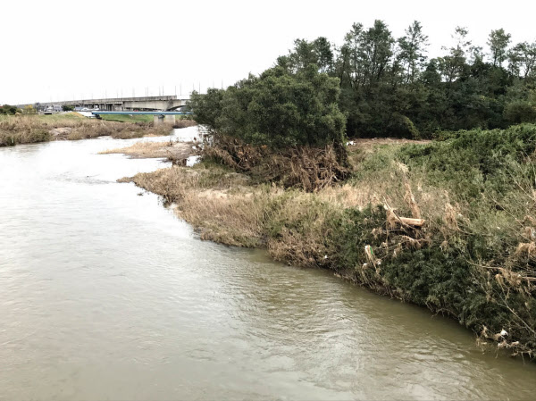 福島県郡山市の阿武隈川 最後の 未整備地域 が氾濫 日本経済新聞