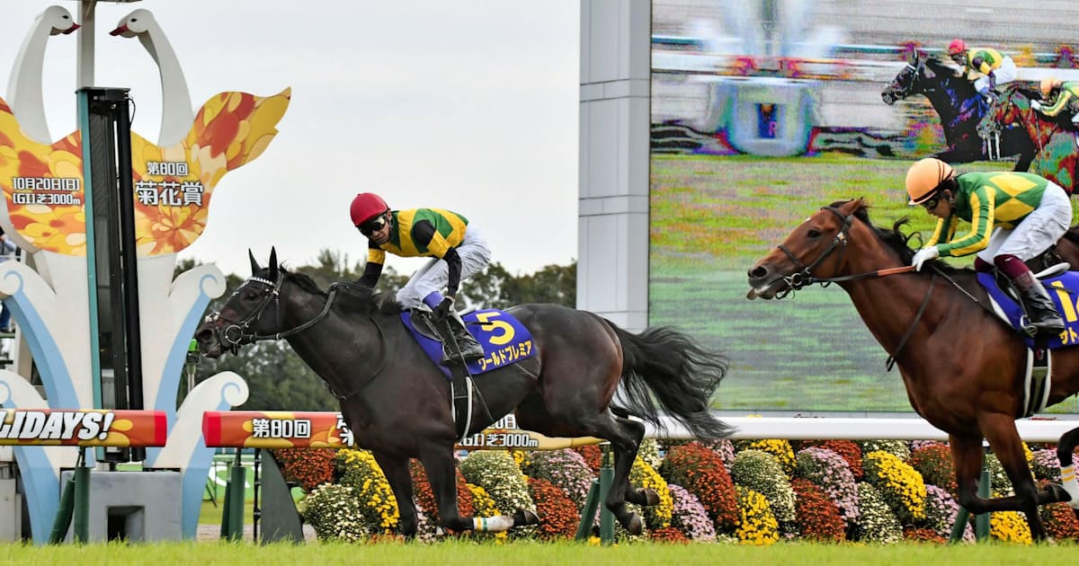 地位低下進む長距離戦 レースの 質 確保が重要に 日本経済新聞