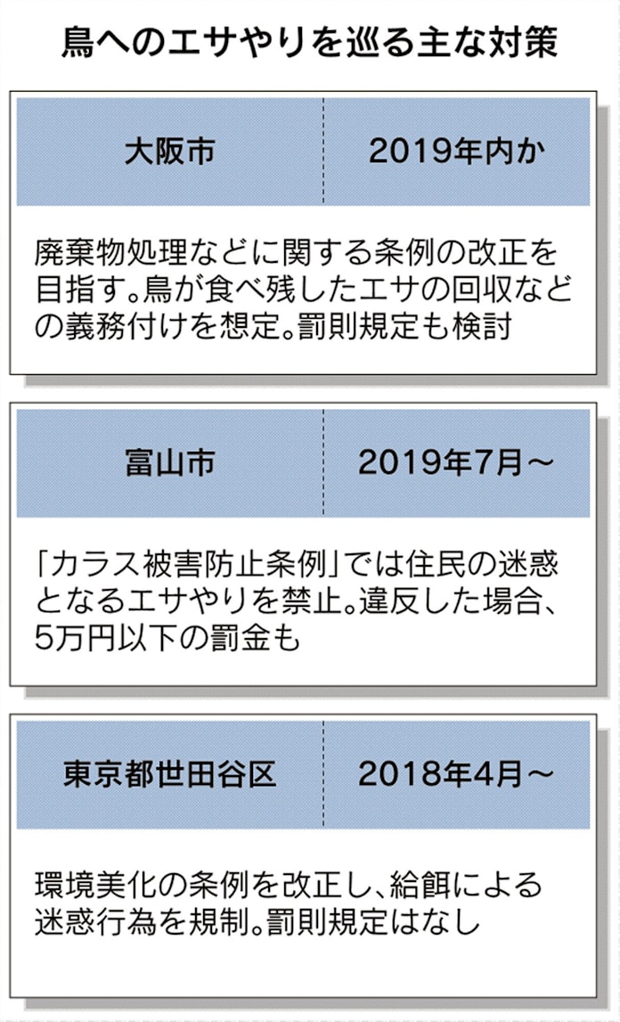鳥にエサ ダメ ルール化進む フンや騒音 健康被害も 日本経済新聞 鳥にエサ ダメ ルール化進む フンや騒音 健康被害も 日本経済新聞