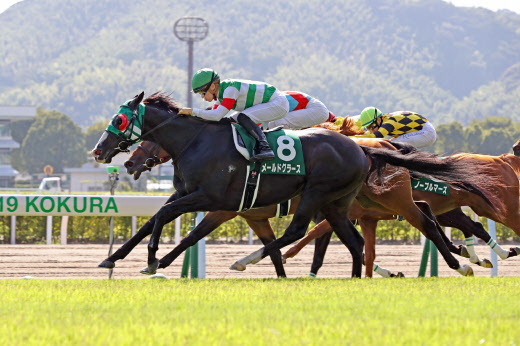 小倉短縮に衝撃 競馬中継スタッフが見た年日程 日本経済新聞 小倉短縮に衝撃 競馬中継スタッフが見た年日程 日本経済新聞
