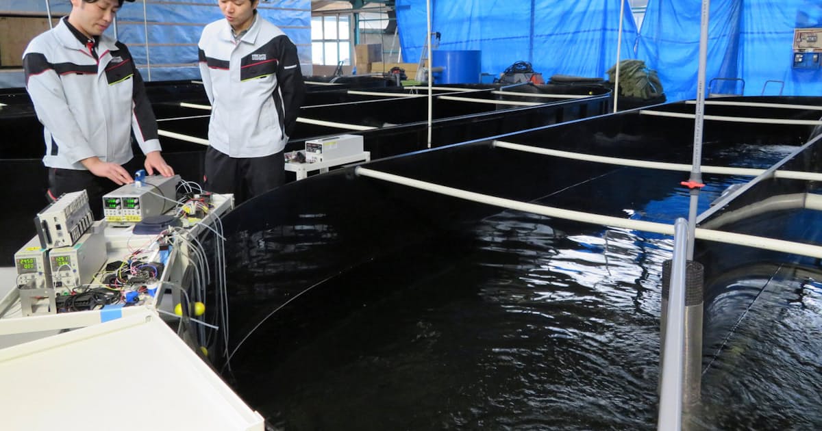 計測技術エビ養殖にも 日本特殊陶業 脱 プラグ依存 日本経済新聞 計測技術エビ養殖にも 日本特殊陶業 脱 プラグ依存 日本経済新聞