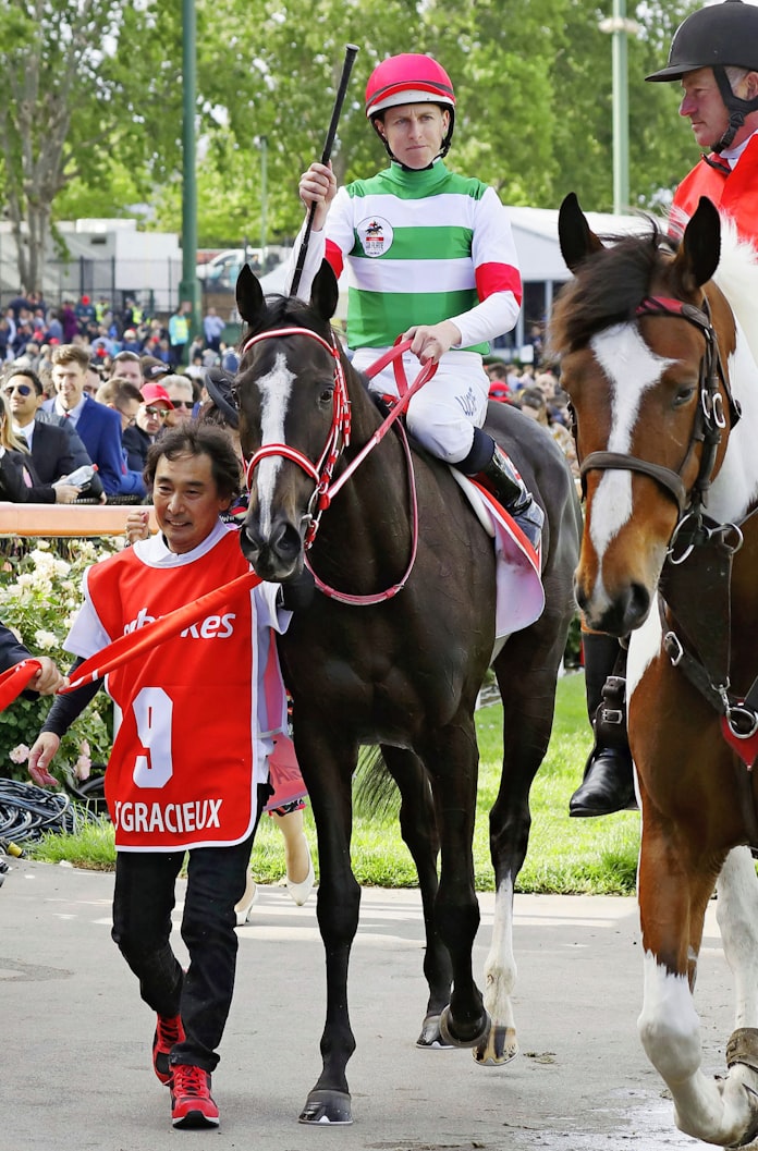 強い日本馬が壁に ジャパンc ついに遠征馬ゼロ 日本経済新聞 強い日本馬が壁に ジャパンc ついに遠征馬ゼロ 日本経済新聞