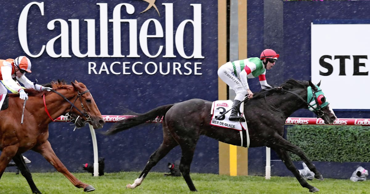 強い日本馬が壁に ジャパンc ついに遠征馬ゼロ 日本経済新聞 強い日本馬が壁に ジャパンc ついに遠征馬ゼロ 日本経済新聞