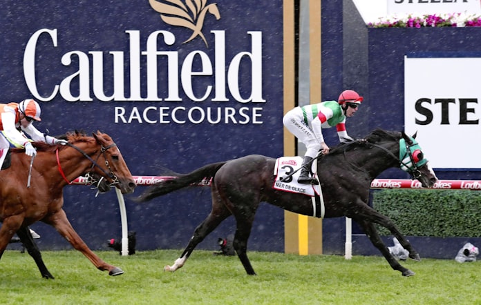 強い日本馬が壁に ジャパンc ついに遠征馬ゼロ 日本経済新聞 強い日本馬が壁に ジャパンc ついに遠征馬ゼロ 日本経済新聞