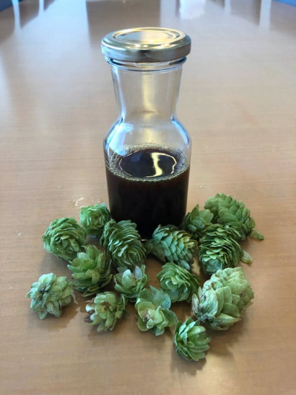 ホップを熟成してエキスをつくる(写真手前が収穫したホップ、瓶の中が完成した熟成ホップエキス)