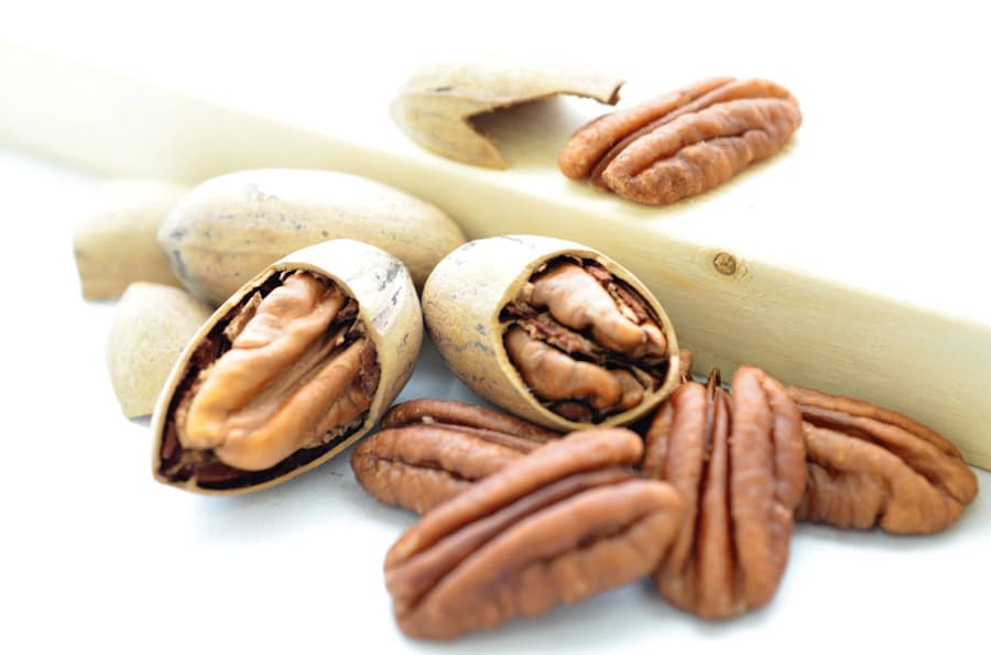 ピーカンナッツでもうかる農業 埼玉県 遊休農地活用 日本経済新聞