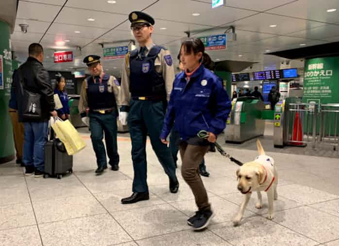 駅の爆発物検知に犬の手借りる Jr東など警備実験 日本経済新聞