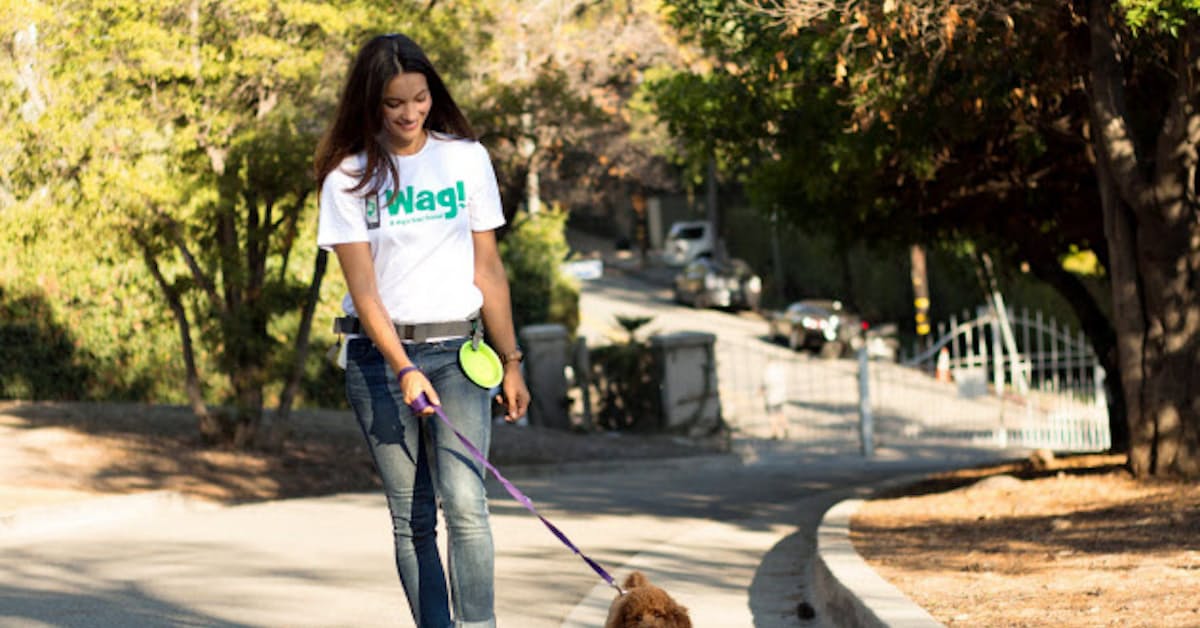 ソフトバンクgのファンド 犬の散歩代行 の株売却 日本経済新聞