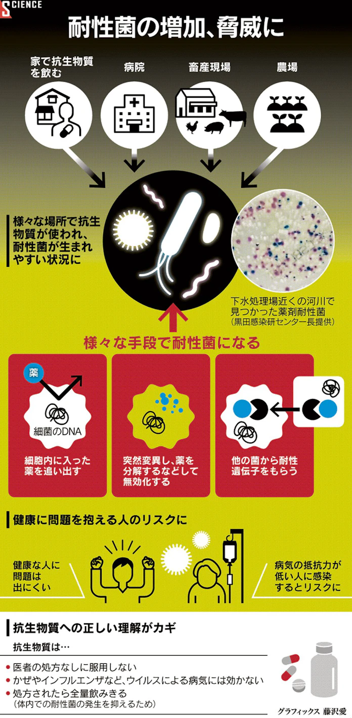 抗生物質が効かない 耐性菌の被害拡大 対策急務に 日本経済新聞 抗生物質が効かない 耐性菌の被害拡大 対策急務に 日本経済新聞