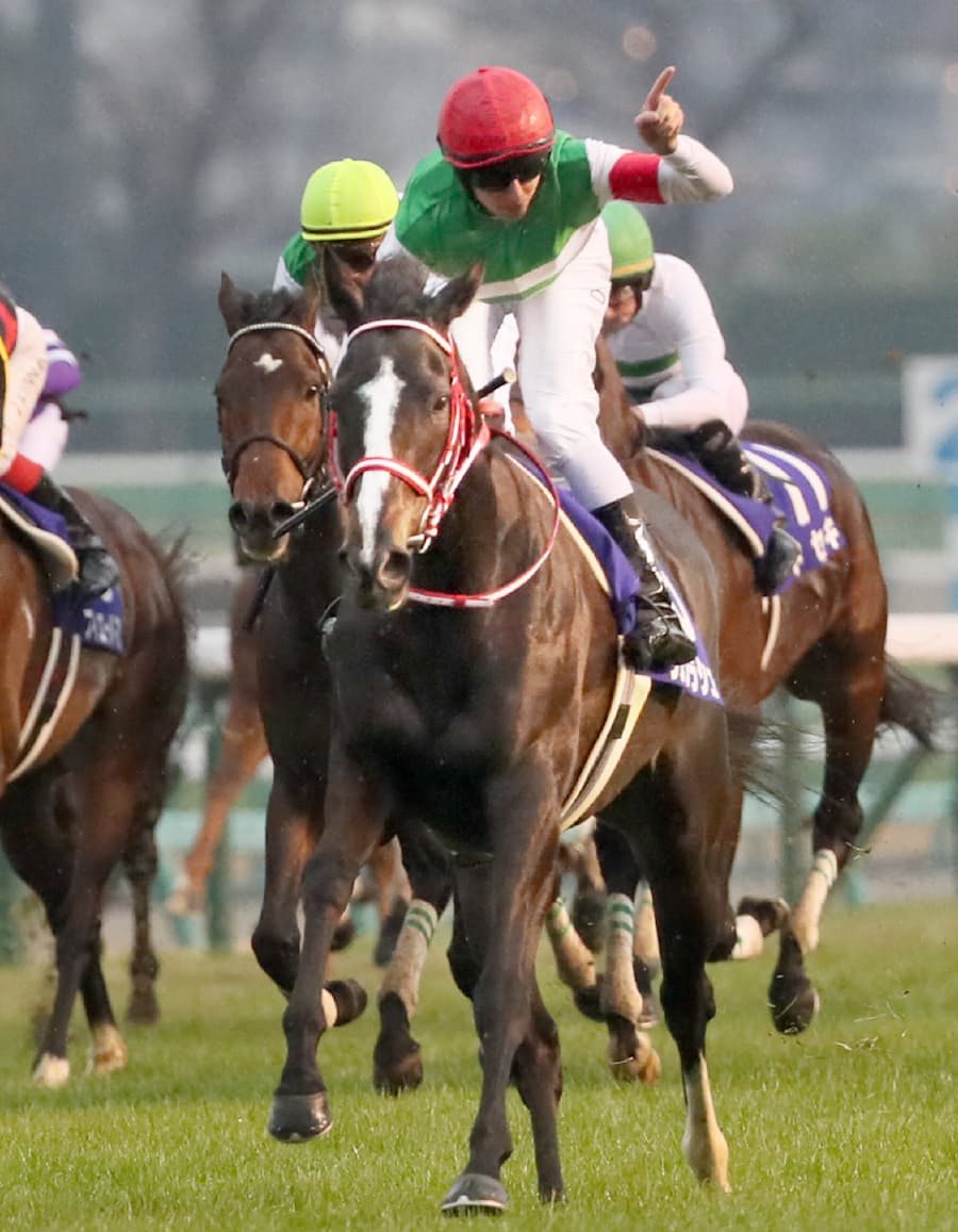 競馬の有馬記念 リスグラシュー優勝 引退レース飾る 日本経済新聞