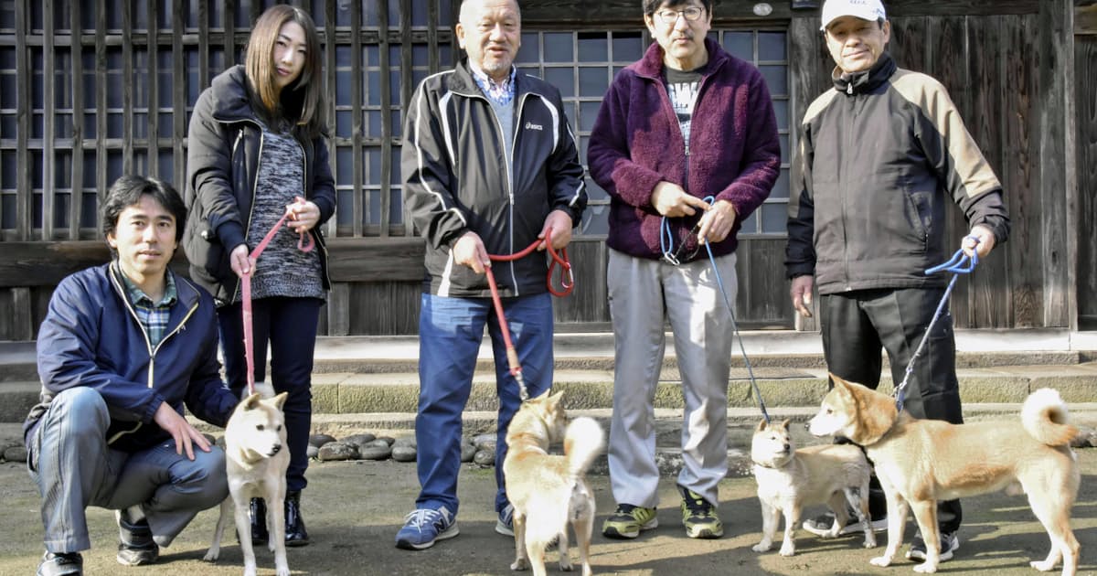 山陰柴犬 守り伝える 鳥取 絶滅の危機乗り越え 日本経済新聞 山陰柴犬 守り伝える 鳥取 絶滅の危機乗り越え 日本経済新聞