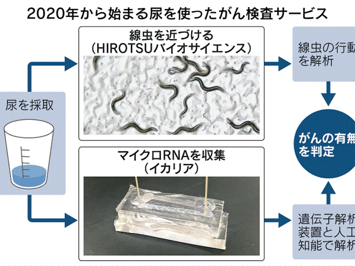 尿 血液でがん発見を実用化 ヒロツバイオや東芝など 日本経済新聞