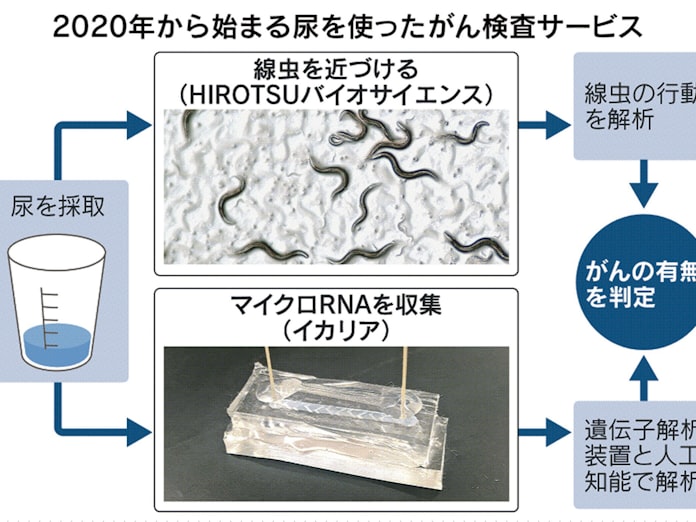 尿 血液でがん発見を実用化 ヒロツバイオや東芝など 日本経済新聞 尿 血液でがん発見を実用化 ヒロツバイオや東芝など 日本経済新聞