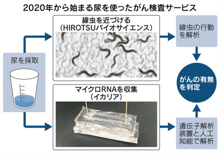 尿 血液でがん発見を実用化 ヒロツバイオや東芝など 日本経済新聞