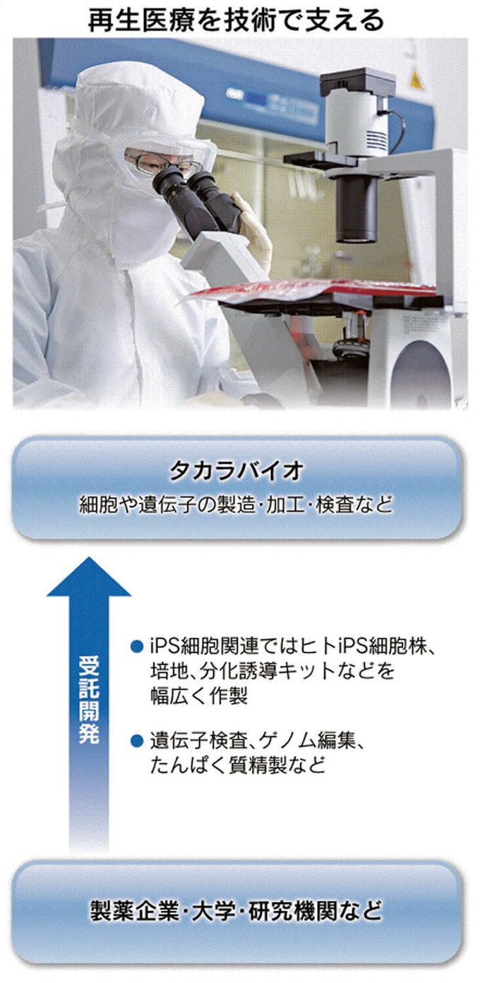 Ips細胞の 黒子 タカラバイオ 創薬で表舞台へ 日本経済新聞