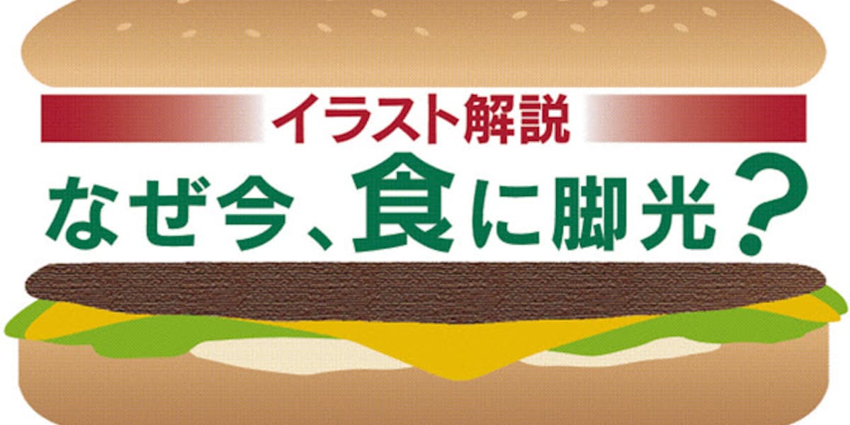 アメリカ発 メシ新時代 肉食文化 アメリカに植物肉革命 イラスト解説 日本経済新聞