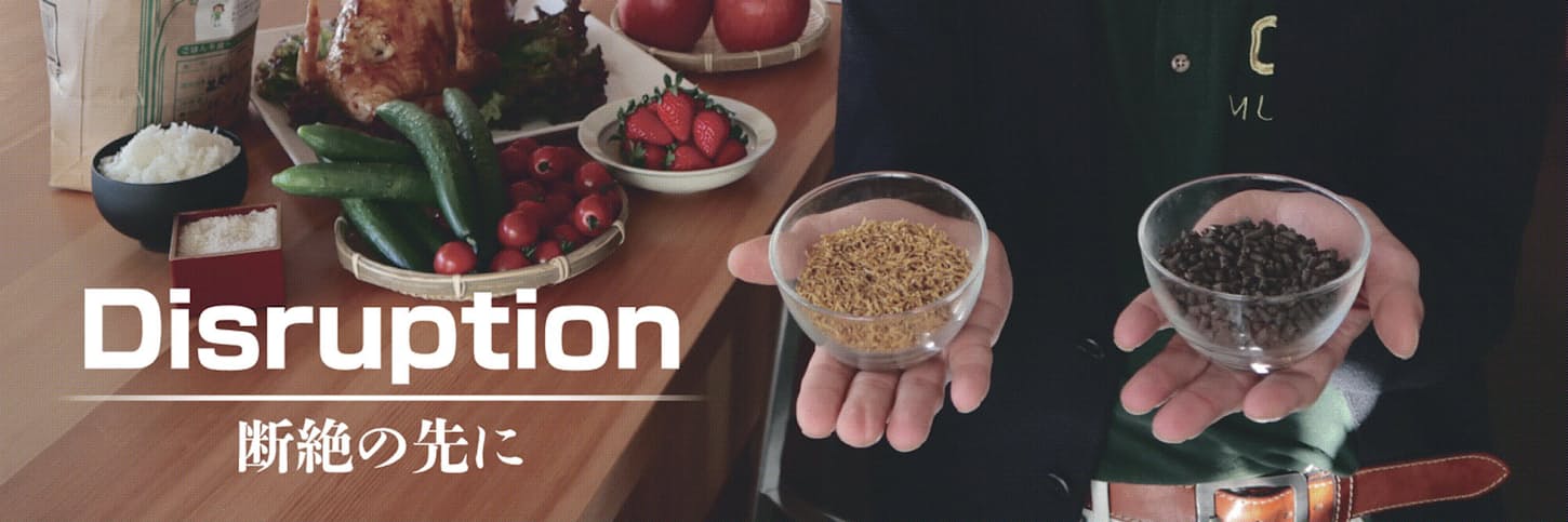 タンパク質危機 ハエが世界を救う 肉 魚に頼らない 日本経済新聞