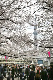 隅田川沿いの公園などで音楽イベントを実施する(隅田公園) 隅田川沿いの公園などで音楽イベントを実施する(隅田公園)