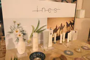花王の新ブランド「ines」は頭皮ケアを特徴に打ちだした 花王の新ブランド「ines」は頭皮ケアを特徴に打ちだした