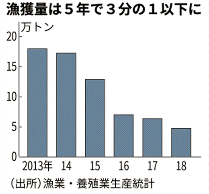 イカがいねぇ 不漁底なし 年漁獲枠も過去最低に 日本経済新聞 イカがいねぇ 不漁底なし 年漁獲枠も過去最低に 日本経済新聞