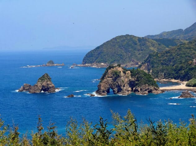 地元では「ゾウ岩」と呼ばれる妙見浦(熊本県天草市)=天草ジオパーク推進協議会提供 地元では「ゾウ岩」と呼ばれる妙見浦(熊本県天草市)=天草ジオパーク推進協議会提供
