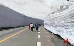 雪の大谷は5月中旬でも雪が残る観光スポットだ 雪の大谷は5月中旬でも雪が残る観光スポットだ