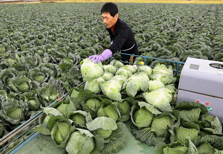異色のトヨタ城下町 農業産出額日本一 愛知 田原市 日本経済新聞