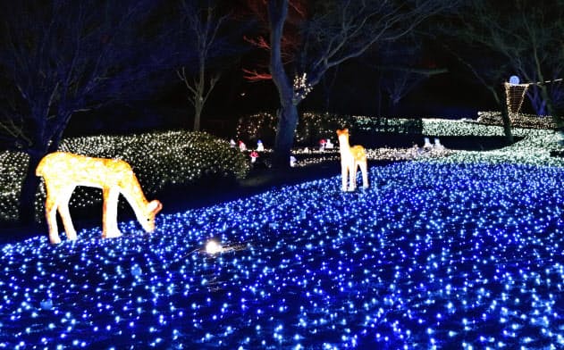 奈良公園で披露された「しあわせ回廊なら瑠璃絵」の試験点灯(7日夕、奈良市)=共同 奈良公園で披露された「しあわせ回廊なら瑠璃絵」の試験点灯(7日夕、奈良市)=共同